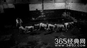 人体蜈蚣3 在线观看,惊悚悬疑,生死较量 第1张 人体蜈蚣3 在线观看,惊悚悬疑,生死较量 第1张