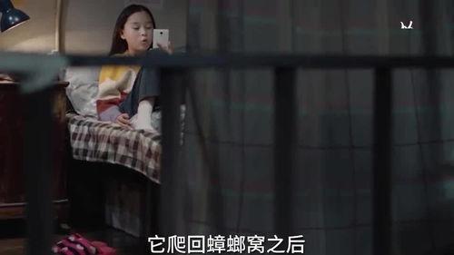 娃娃影视爆料视频,揭秘热门影视幕后故事