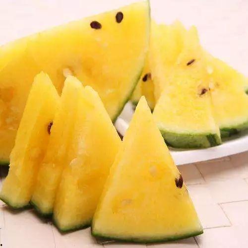 欢迎大家来瓜地免费吃,免费瓜地，等你来尝